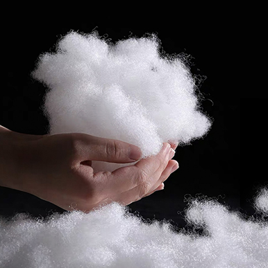 Công ty Tongxiang Xin Long, Ltd.